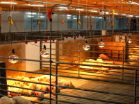 养殖场在线监测